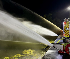 Schwanenteich Gießen: Feuerwehr rettet Fische