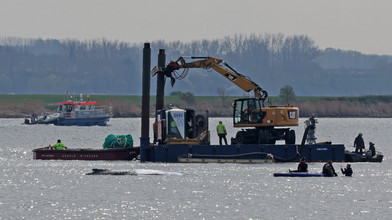 Initiator sieht Wal-Rettungsversuch wieder bei Stunde null