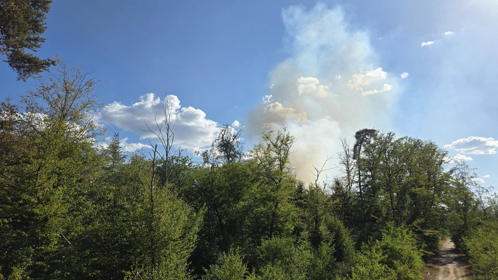 Waldbrand nahe dem Frankfurter Flughafen. 