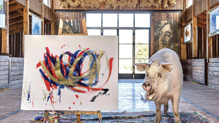 Frei Schnauze: Schwein Pigcasso stellt Kunstwerke in Hann. Münden aus