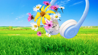 Neues Webradio: Deine Playlist für den Frühling