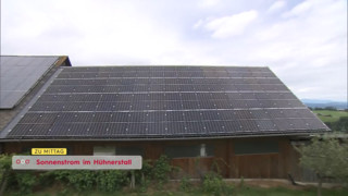 Sonnenstrom im Hühnerstall