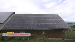 Sonnenstrom im Hühnerstall