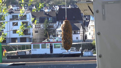 500-Kilo-Weltkriegsbombe in Koblenz - Entschärfung mit Baggerschiff