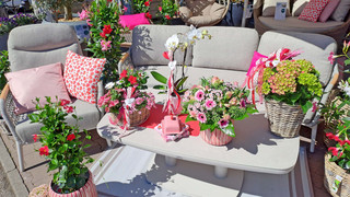 Überraschung, FFH! 1.000-€-Gutschein für Mauk Gartenwelt