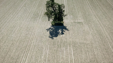 Klimabericht 2025: Fast ganz Europa erlebte Extremwetter