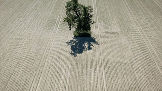 Klimabericht 2025: Fast ganz Europa erlebte Extremwetter