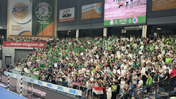 Handball: Wetzlar und Melsungen verlieren