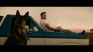 Kinotipp: Dog - Das Glück hat vier Pfoten