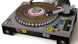 Schallplattenflohmarkt in Darmstadt