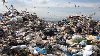 Müllkrise: Staaten ringen um verbindliche Plastikregeln