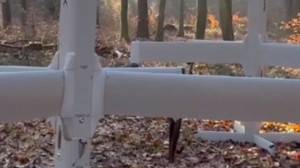 Haushaltsausschuss billigt Kamikazedrohnen für Bundeswehr