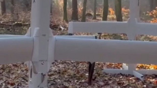 Haushaltsausschuss billigt Kamikazedrohnen für Bundeswehr