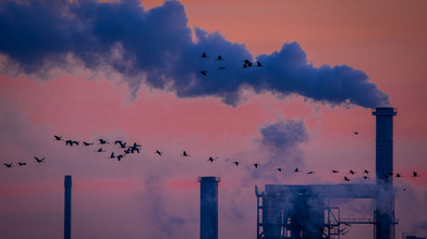Industrie Auftragseingang steigt überraschend stark an