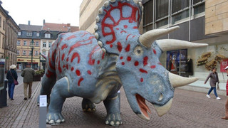 Dino, Dodo & Co.: Dino-Ausstellung im Vonderaumuseum Fulda startet