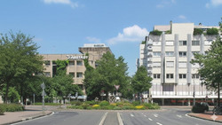 Wahlkampf in Gießen - FDP will Elefantenklo abreißen