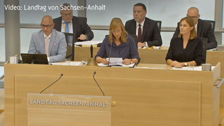 Sachsen-Anhalt: Tobias Rausch ist erster AfD-Landtagspräsident