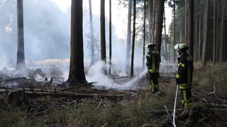Schon 160 Waldbrände seit Jahresbeginn in Hessen: Alarmstufe bleibt