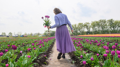 Blumen selbst pflücken in Hessen: Die schönsten Orte