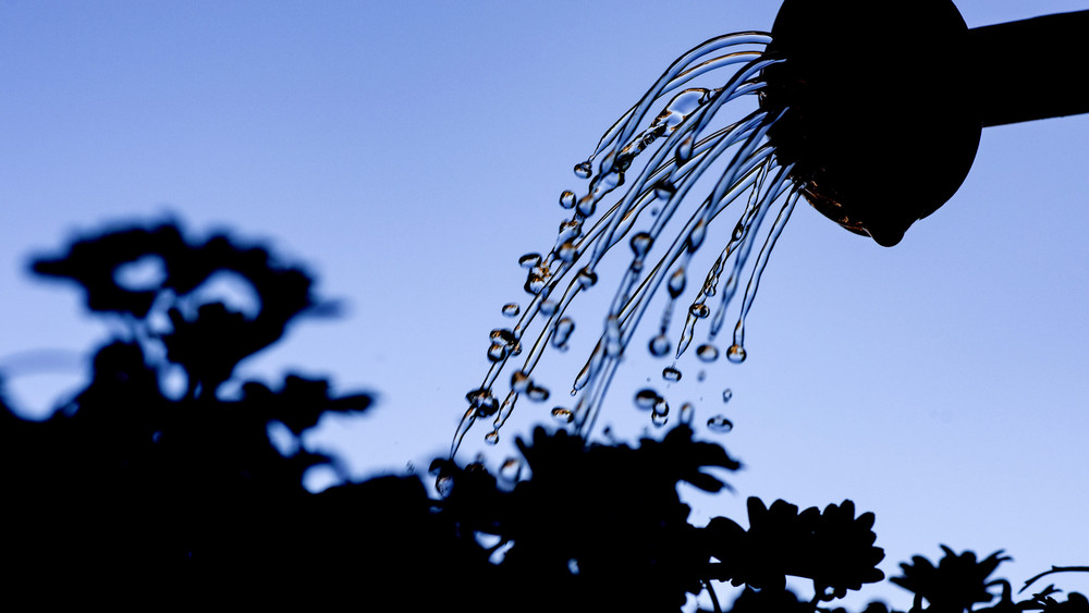 Wegen der anhaltenden Trockenheit darf jetzt auch im Kreis Hersfeld-Rotenburg kein Wasser mehr aus Flüssen, Bächen oder Seen zum Gießen entnommen werden. 