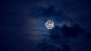 Augenzeugen: Bilder der FFH-Hörer