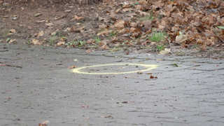 Auf Stuttgarter Spielplatz: 16-Jähriger angeschossen
