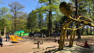 Frankfurt: Waldspielplatz Kobelt-Zoo Schwanheim