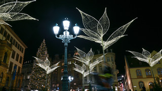 Sternschnuppenmarkt Wiesbaden 2024: Festlich & Nachhaltig