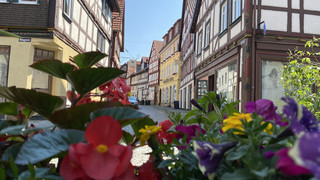 Alsfeld zeichnet besonders schöne oder klimafreundliche Gärten aus