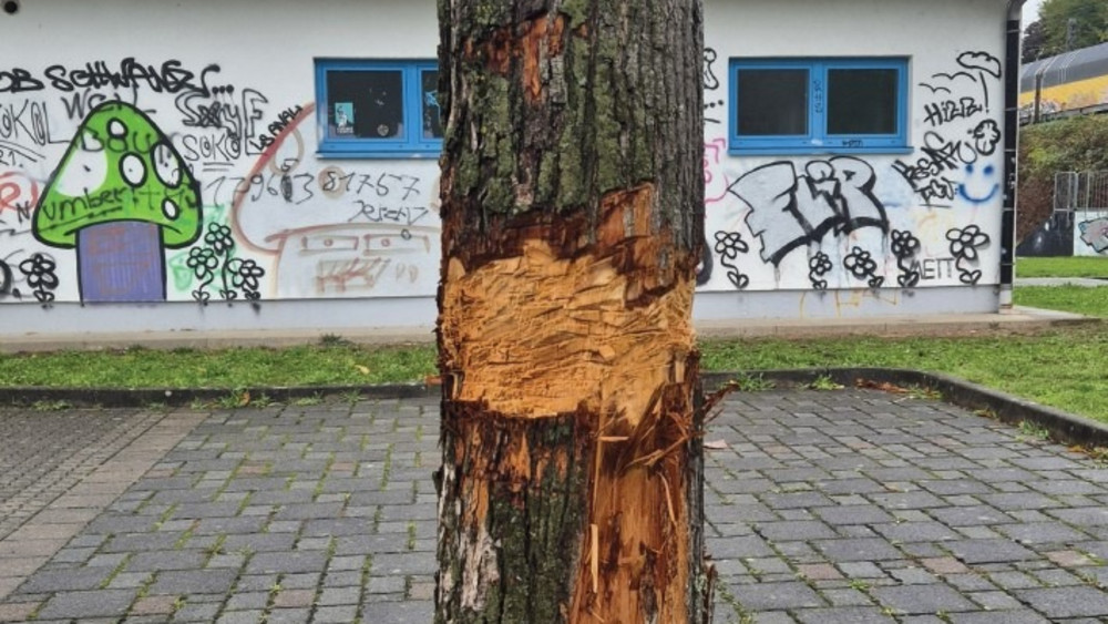 Der 30 Jahre alte Ahorn ist schwer beschädigt.