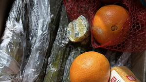 Ekelkontrollen in Frankfurt: Teils große Missstände in Gastronomie