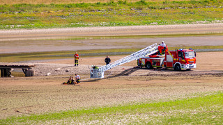 Feuerwehr befreit Frau und Hund: Bis zur Hüfte im Schlamm eingesunken