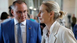 AfD-Spitze uneins über Russlandreise von Parteikollegen