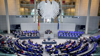 Mit Abbau der Agrarsubventionen: Bundestag beschließt Haushalt 2024