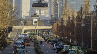 Frankfurt: Bauern-Protest und Traktoren-Sternfahrt - Straßen gesperrt