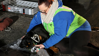 Wohnhausbrand in Großostheim: Mehrere Verletzte und Hund reanimiert