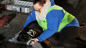 Wohnhausbrand in Großostheim: Mehrere Verletzte und Hund reanimiert