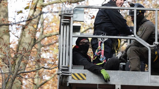Besetzer klettern auf Bäume - Polizei räumt Protestcamp am Waldsee in Langen