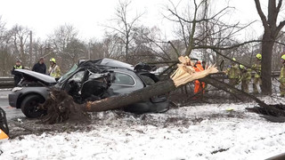 Hannover: Autofahrer kracht gegen Baum und stirbt