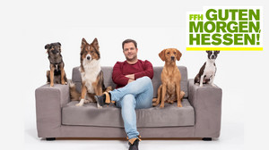 Martin Rütters Tipps für Hundebesitzer: Welpentraining und Giftköder