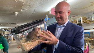 Feldhamster vor dem Aussterben retten: Zuchtstation in Langgöns