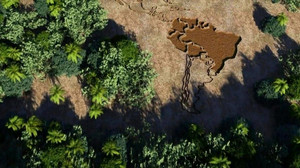 Videografik: Das Amazonas-Gebiet – bedrohtes Naturwunder