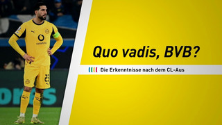 Quo vadis, BVB? Die Erkenntnisse nach dem CL-Aus