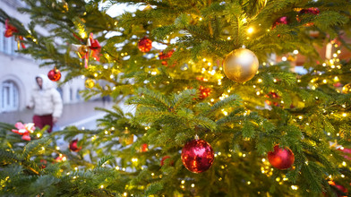 Mitten im Sommer: Dieburg sucht Weihnachtsbaum-Spender