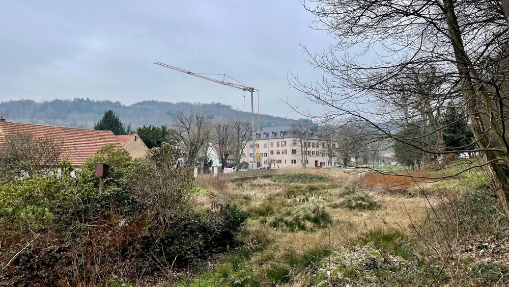 Am 13. März sollen die Arbeiten am Schlossweiher in Wächtersbach starten. 