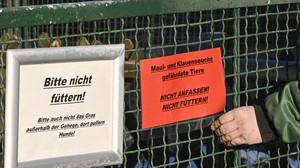 Maul- und Klauenseuche: Schutzmaßnahmen in der Wiesbadener Fasanerie