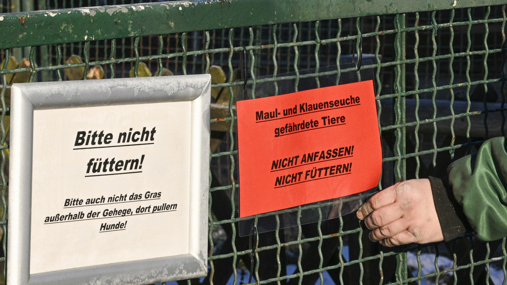 Mitarbeiter bringen in einem Tierpark in Berlin Schilder an, die auf die durch die Maul- und Klauenseuche gefährdeten Tiere hinweisen. 