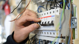 Stromausfall in Eltville: Marder legt Netz lahm