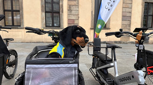 Aktionstag "Fulda fährt Rad" mit mehreren Ausstellern