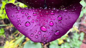 Bilder des Tages